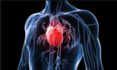 HEART DISEASE PLAT FORM/PREDICTION SYSTEM